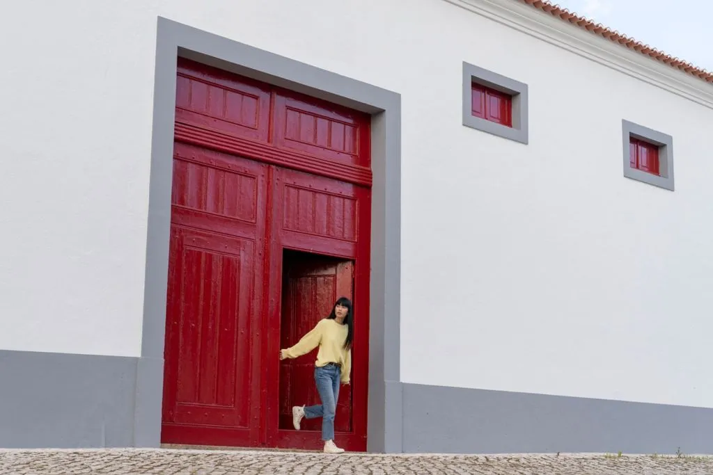 Lisbon: Guided Wine Tour & Tasting + 4WD Jeep Vineyards Experience
