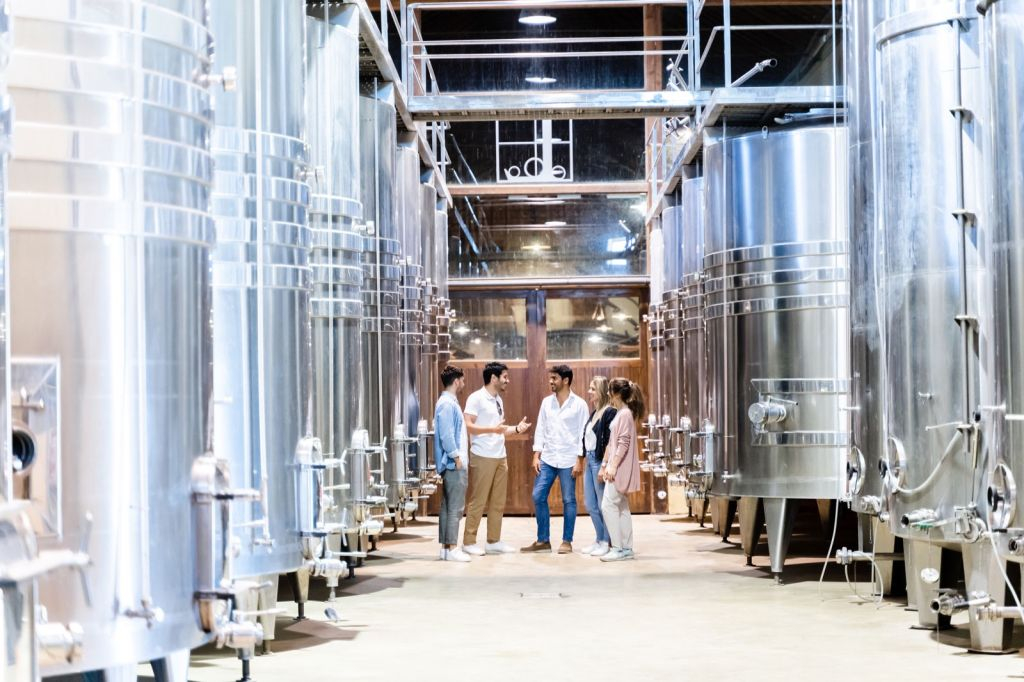 Lisbon: Guided Wine Tour & Tasting + 4WD Jeep Vineyards Experience