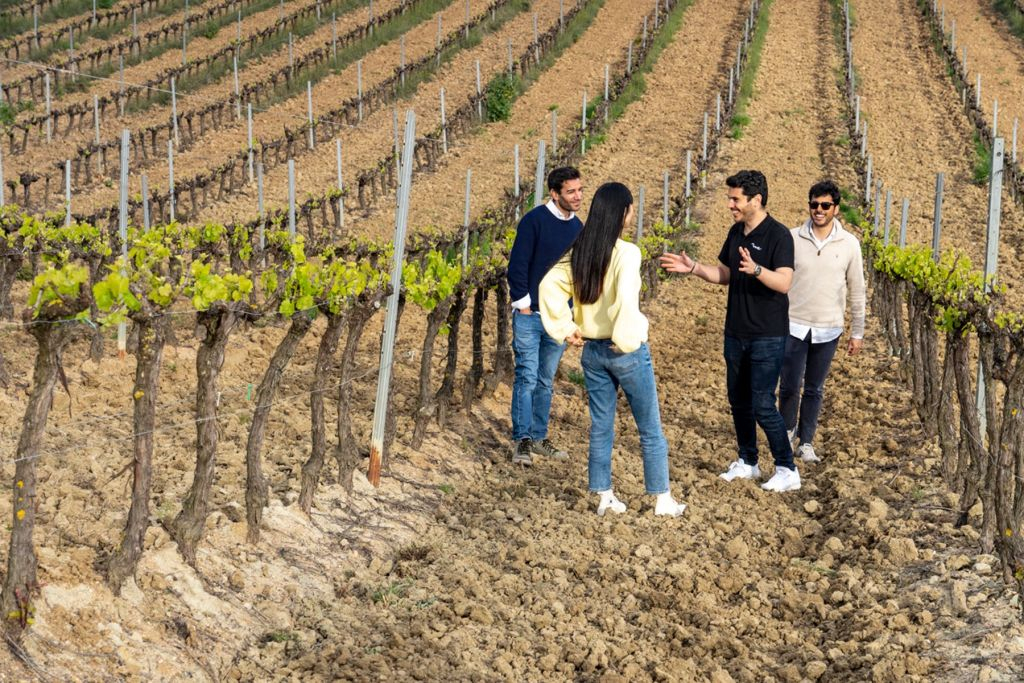 Sintra: Pena Palace and Winery Tour From Lisbon