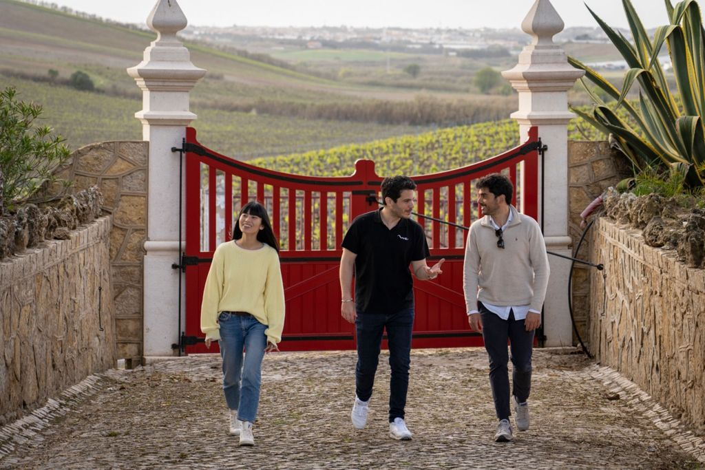 Sintra: Pena Palace and Winery Tour From Lisbon