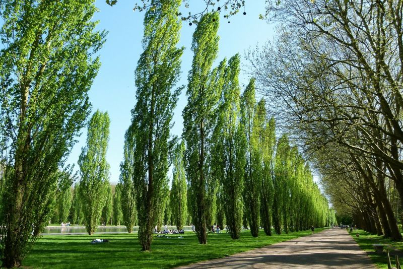 Parc Samà