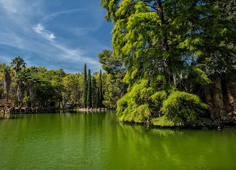 Parc Samà