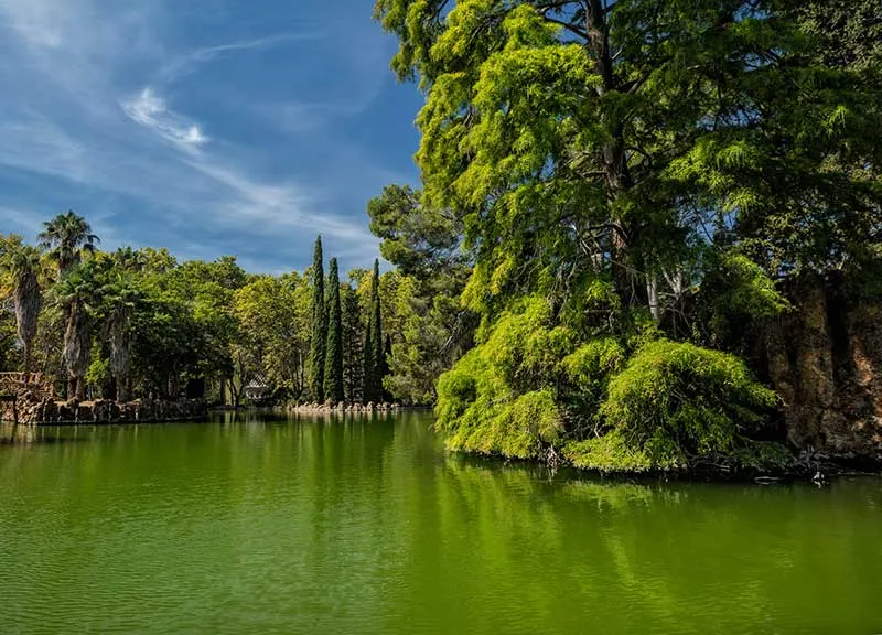 Parc Samà