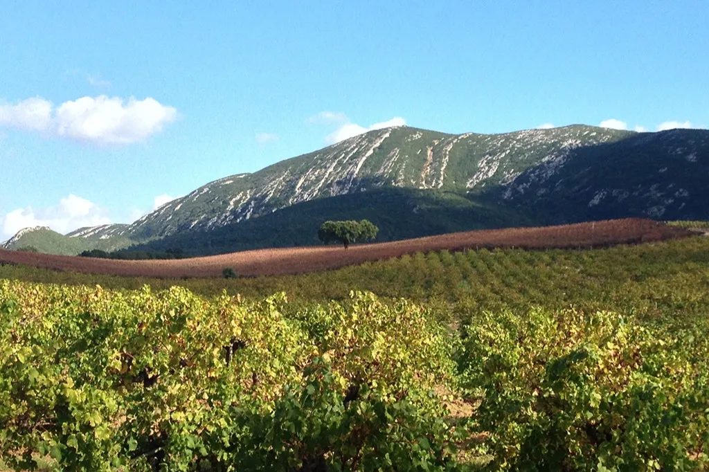 Dia inteiro Arrábida Wine Tour de Lisboa