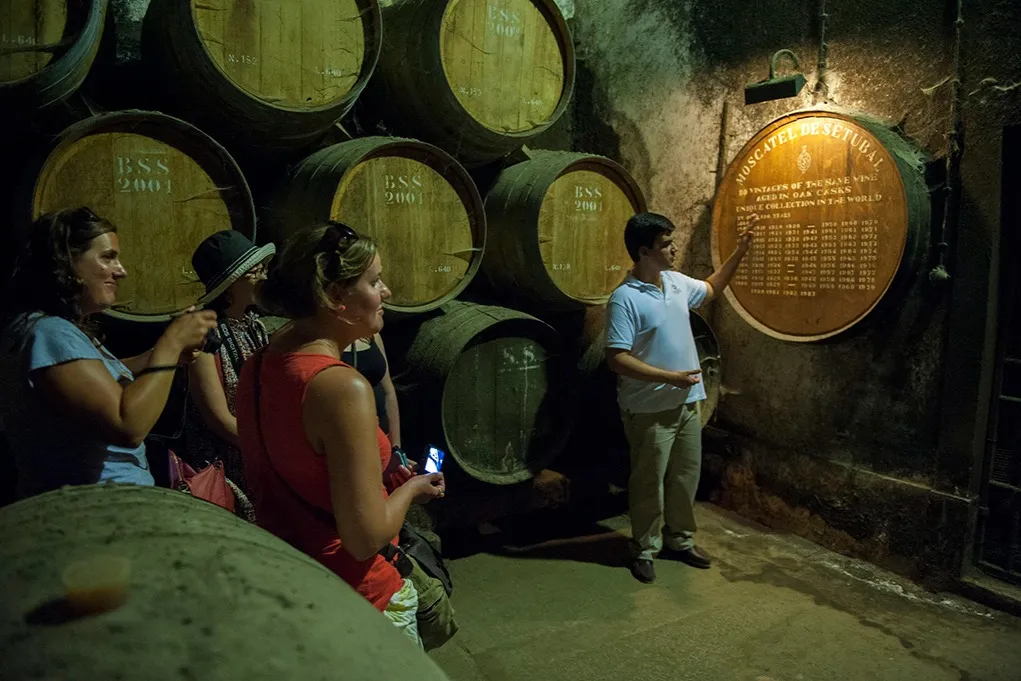 Dia inteiro Arrábida Wine Tour de Lisboa