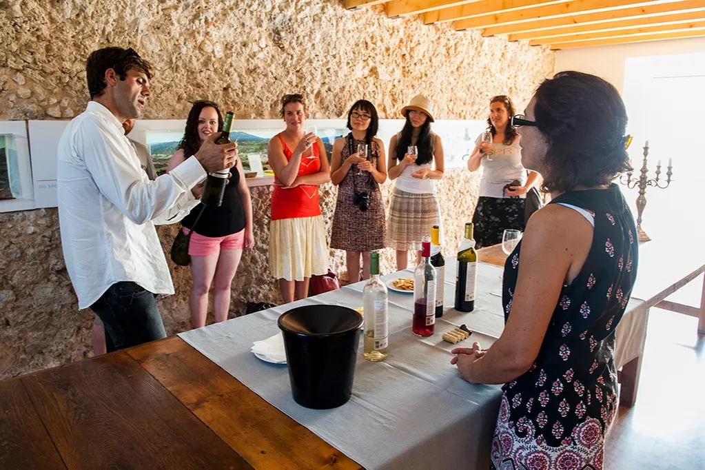 Dia inteiro Arrábida Wine Tour de Lisboa