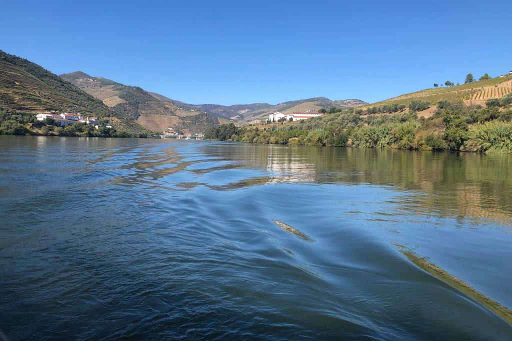 Douro Valley: Vineyard Tour, Tasting, Boat Ride + Lunch