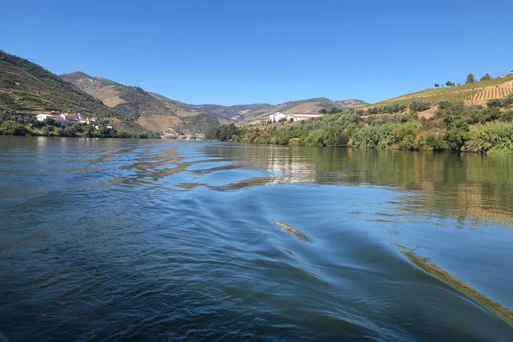 Douro Valley: Vineyard Tour, Tasting, Boat Ride + Lunch