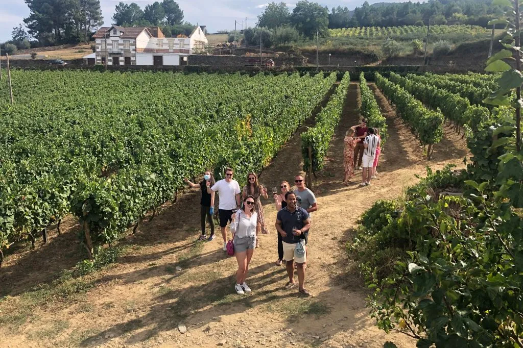 Douro Valley: Vineyard Tour, Tasting, Boat Ride + Lunch