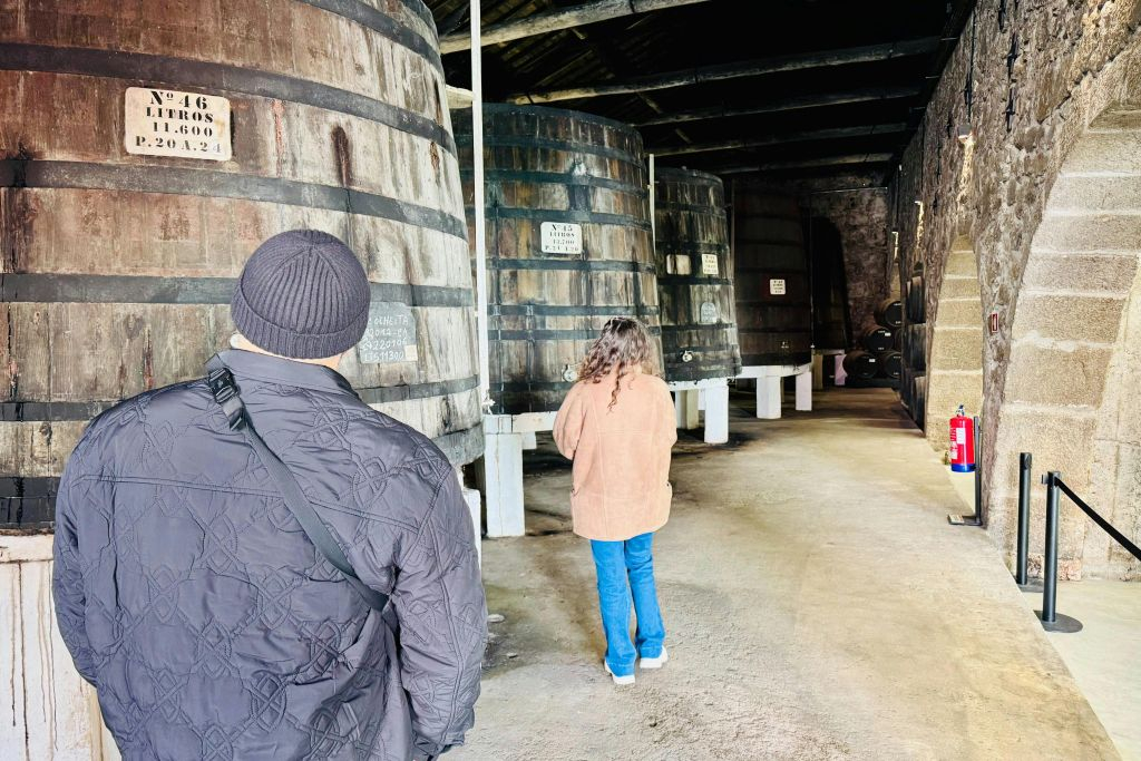 Porto and Gaia: Walking Tour of Douro's Two Riversides
