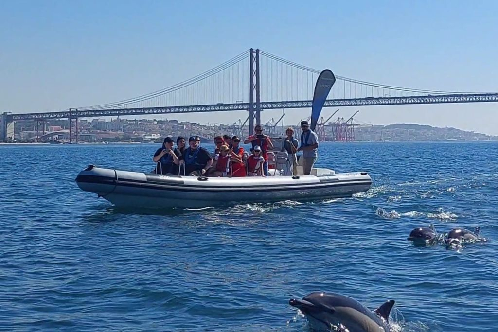 Lisbon: Dolphin Watching Boat Tour