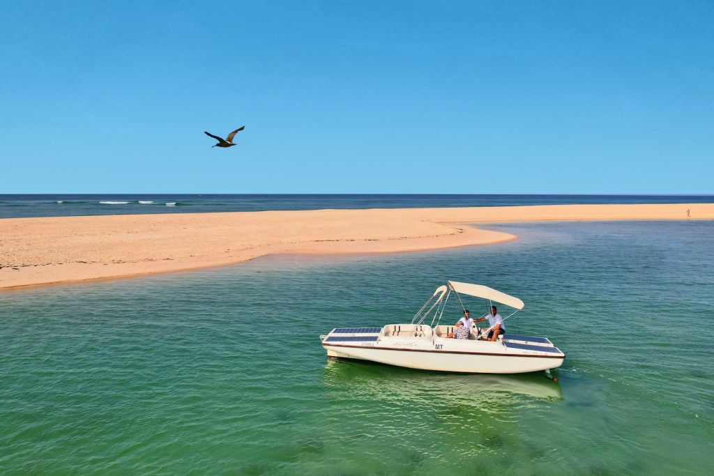 Ria Formosa: Passeio de barco ecológico com observação de aves a partir de Faro