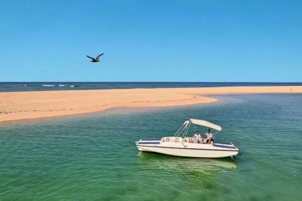 Ria Formosa: Passeio de barco ecológico com observação de aves a partir de Faro