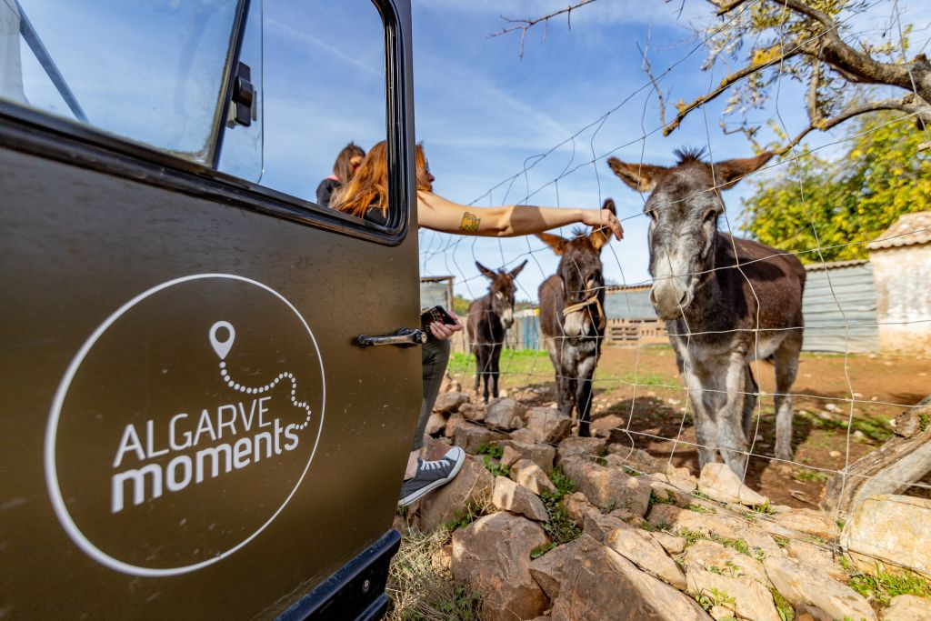 Algarve Safari Jeep Tour