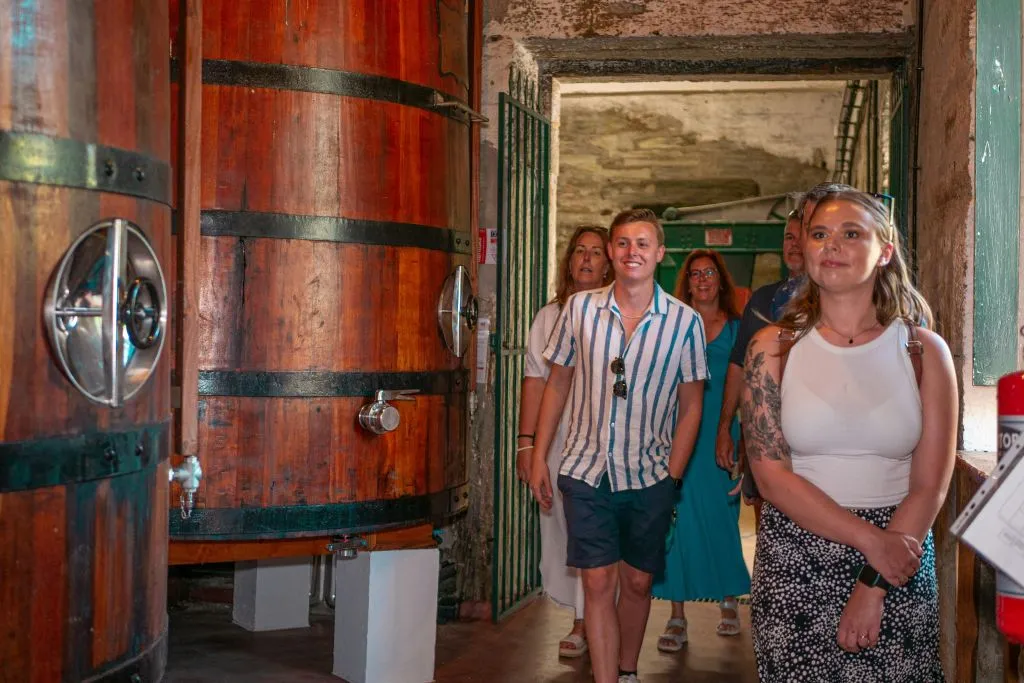 Douro Valley: Premium Wine Tour from Porto in a Small Group