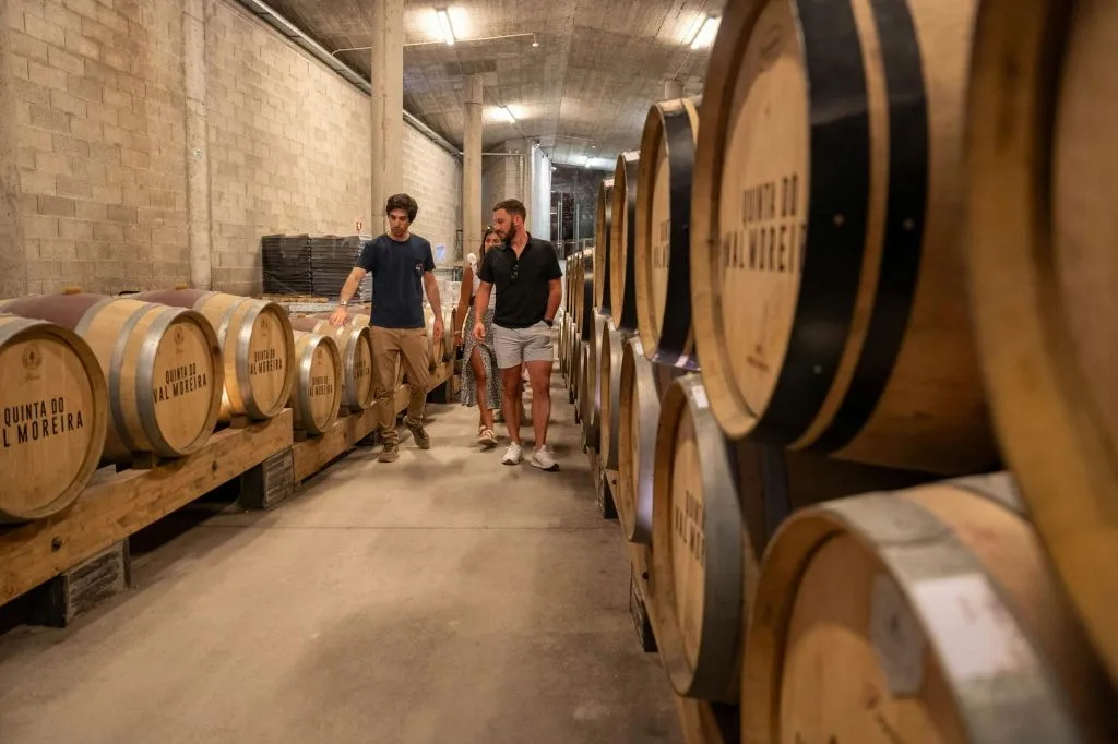 Douro Valley: Premium Wine Tour from Porto in a Small Group