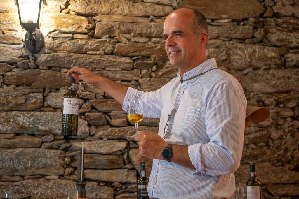 Douro Valley: Premium Wine Tour from Porto in a Small Group