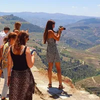Douro Valley: Premium Wine Tour from Porto in a Small Group