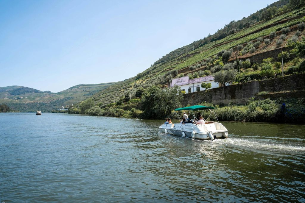 Douro Valley: Premium Wine Tour from Porto in a Small Group