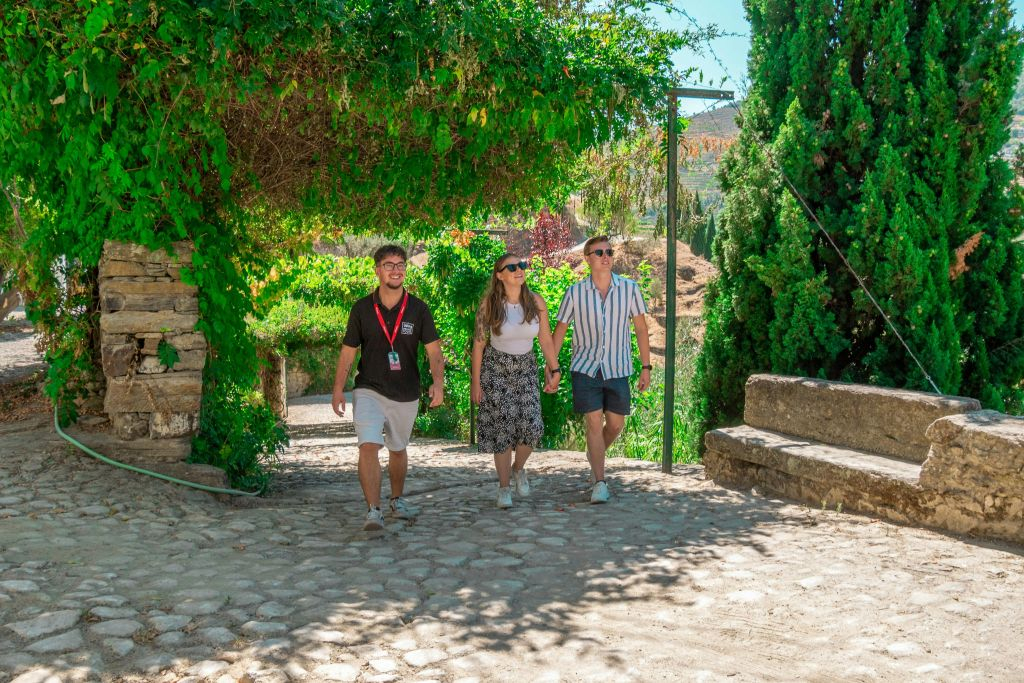 Douro Valley: Premium Wine Tour from Porto in a Small Group