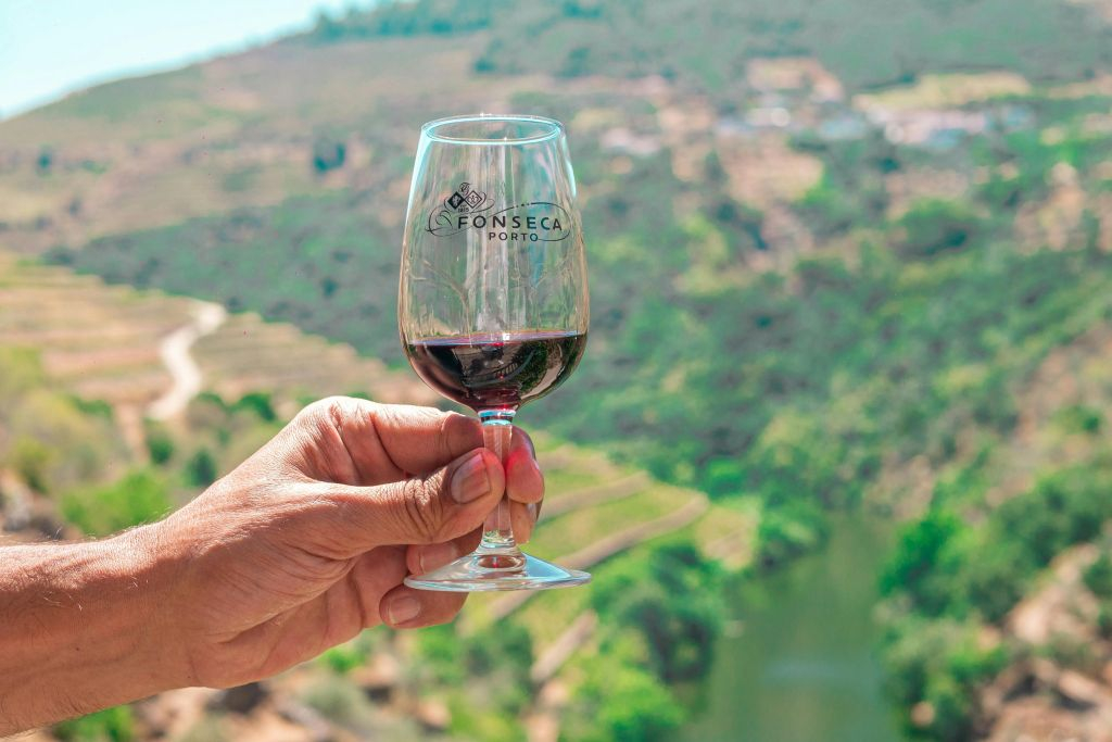 Douro Valley: Premium Wine Tour from Porto in a Small Group