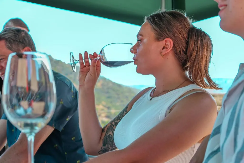 Douro Valley: Premium Wine Tour from Porto in a Small Group