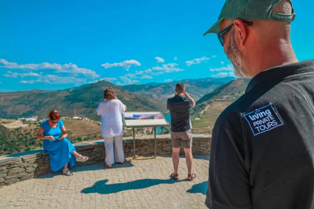 Douro Valley: Premium Wine Tour from Porto in a Small Group