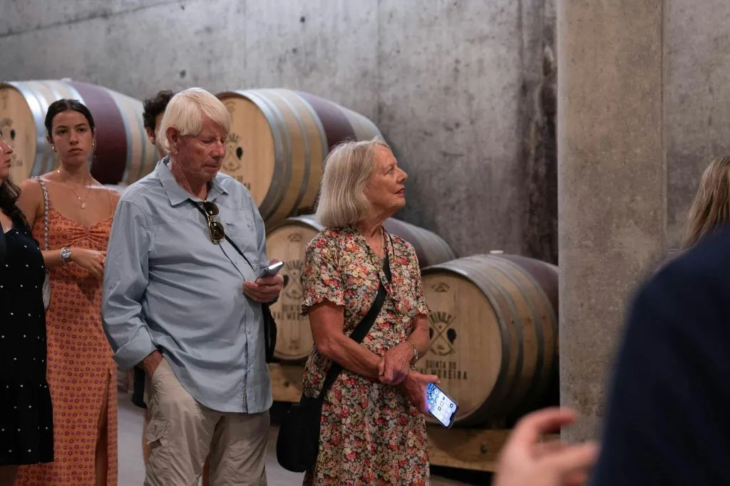 Douro Valley: Premium Wine Tour from Porto in a Small Group