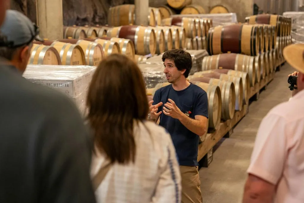 Douro Valley: Premium Wine Tour from Porto in a Small Group