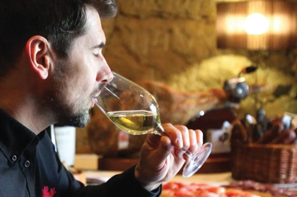 Douro Valley: Premium Wine Tour from Porto in a Small Group