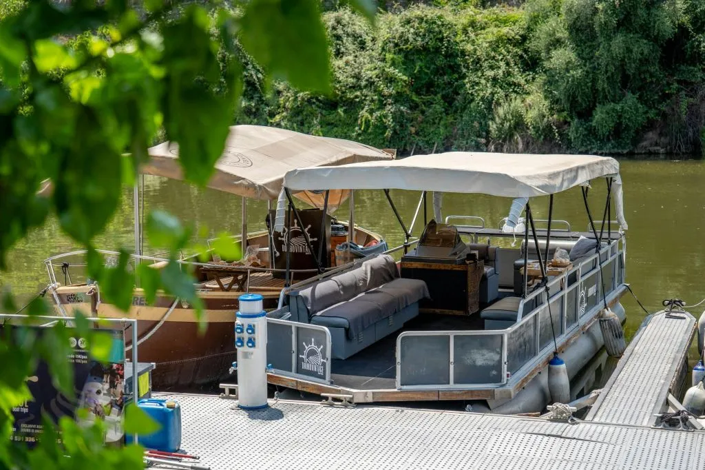 Douro Valley: Premium Wine Tour from Porto in a Small Group