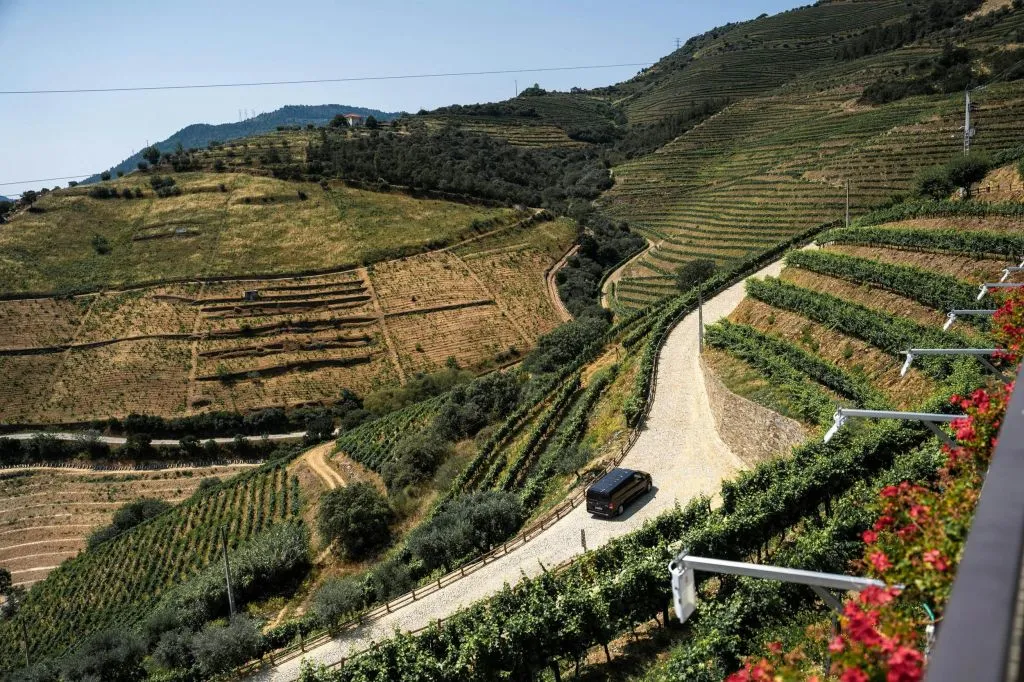 Douro Valley: Premium Wine Tour from Porto in a Small Group