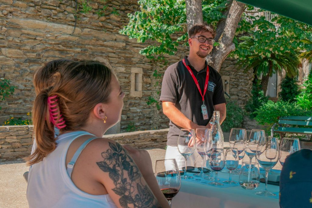 Douro Valley: Premium Wine Tour from Porto in a Small Group