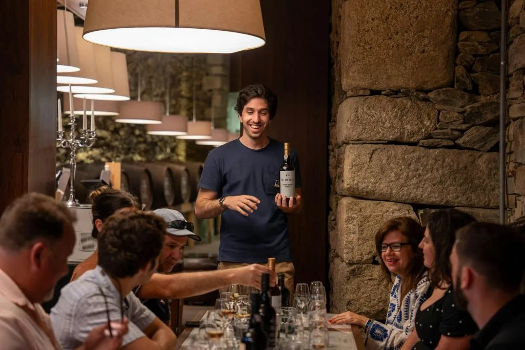 Douro Valley: Premium Wine Tour from Porto in a Small Group