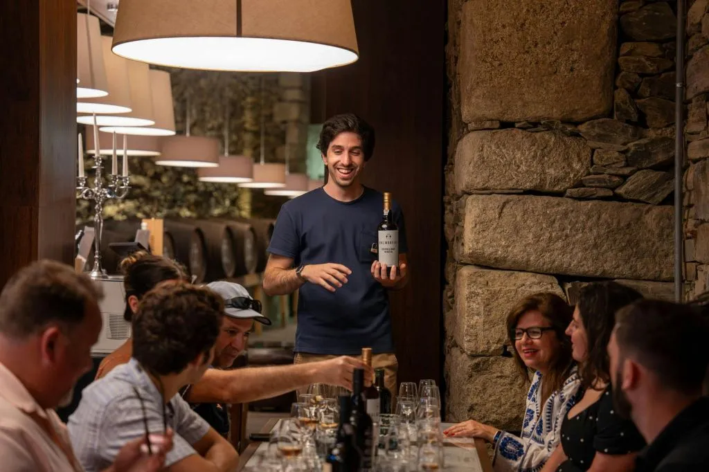 Douro Valley: Premium Wine Tour from Porto in a Small Group