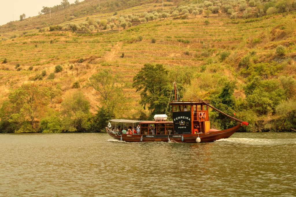 Douro Valley: Premium Wine Tour from Porto in a Small Group