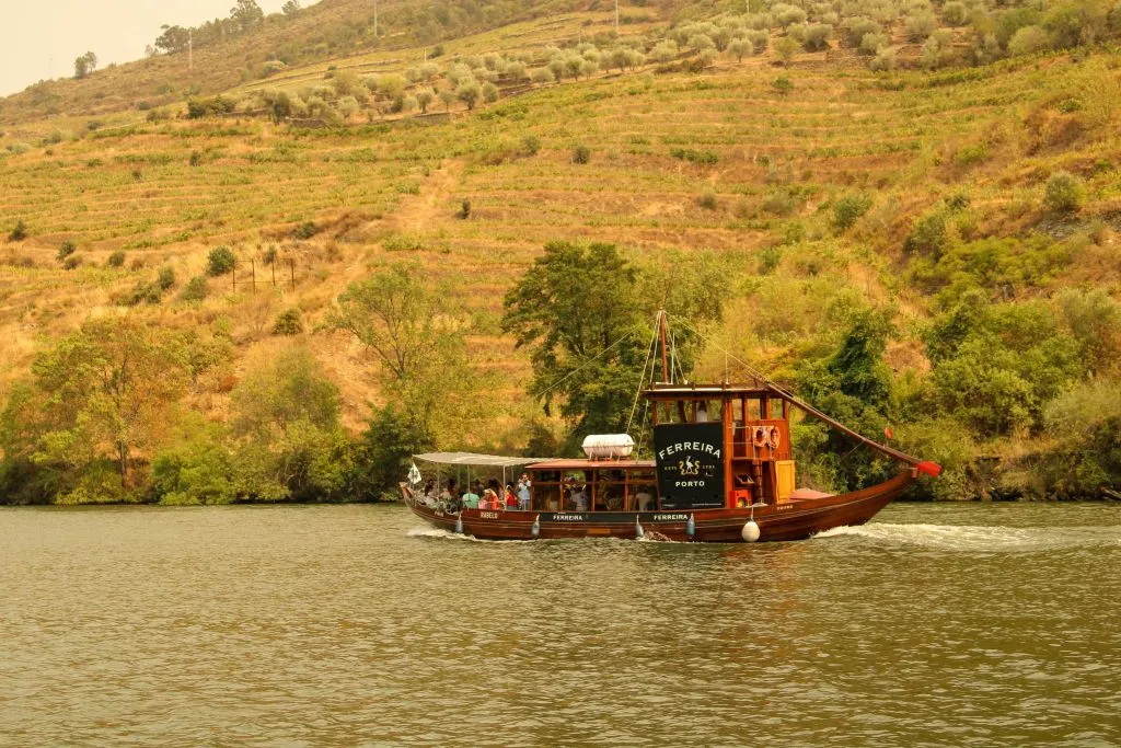 Douro Valley: Premium Wine Tour from Porto in a Small Group