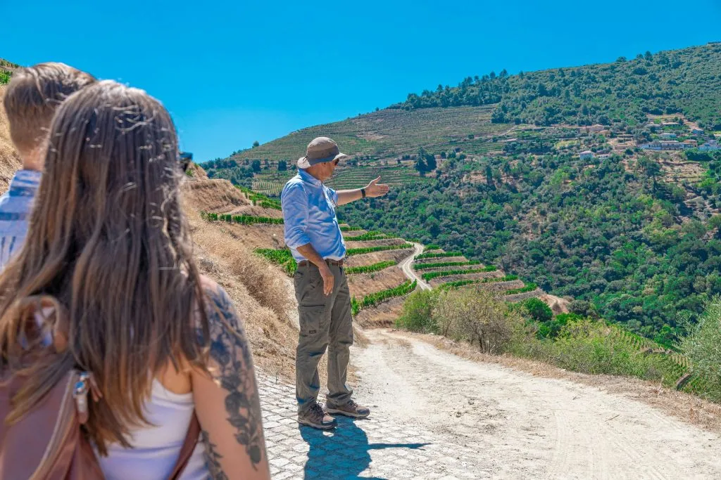 Douro Valley: Premium Wine Tour from Porto in a Small Group