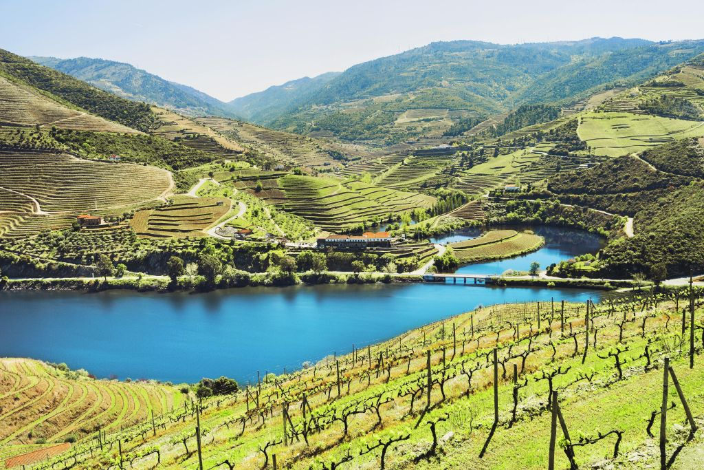 Douro Valley: Premium Wine Tour from Porto in a Small Group