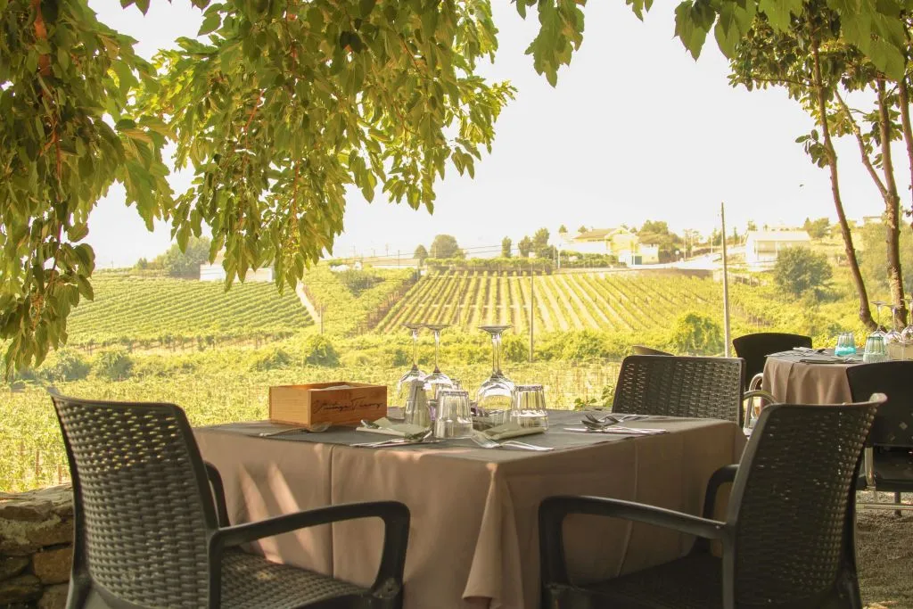 Douro Valley: Premium Wine Tour from Porto in a Small Group