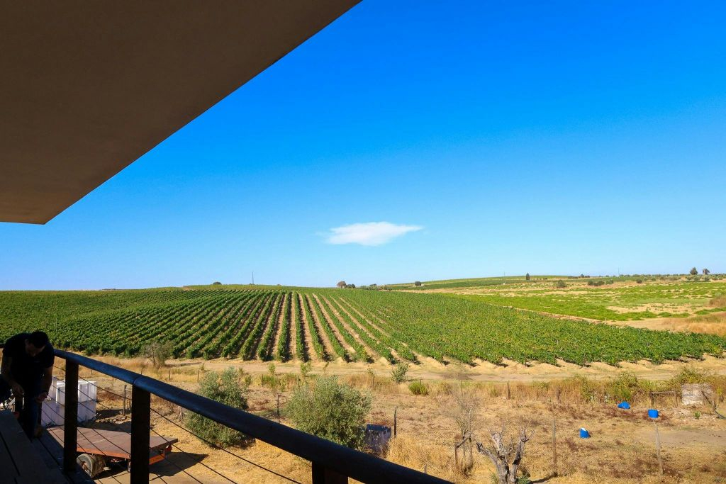 Evora, Chapel of Bones and Wine Tasting: Day Trip from Lisbon