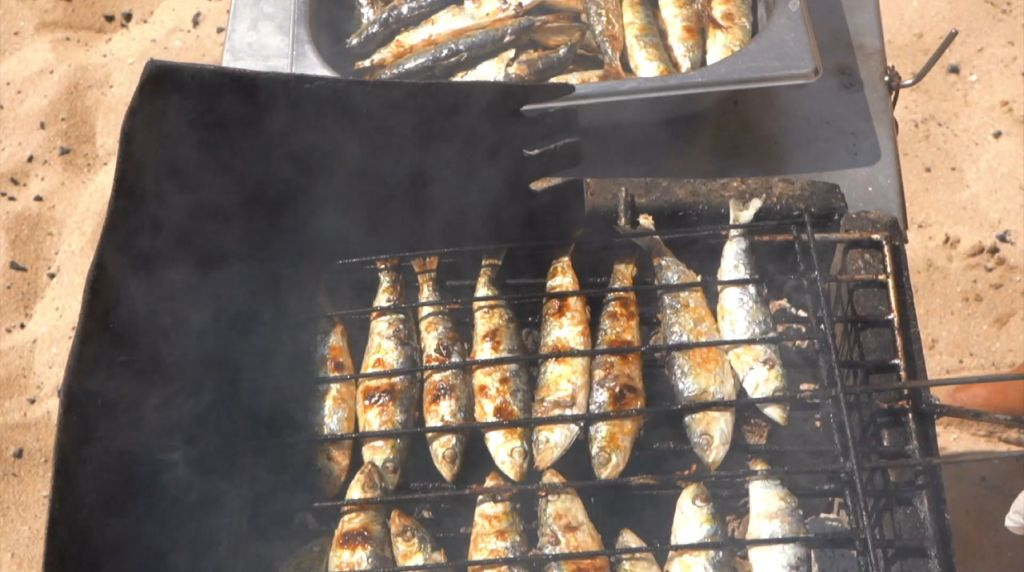 Full Day Barbecue Cruise from Albufeira