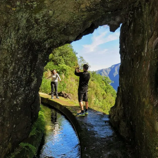 Terrazze Incantate: Escursione Guidata a Madeira