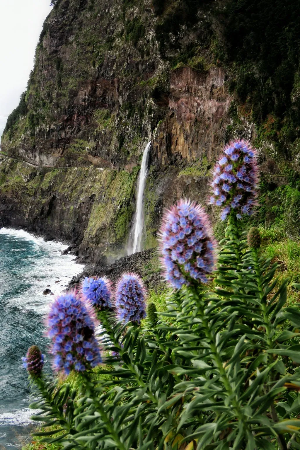 Terraços encantados da Madeira: excursão