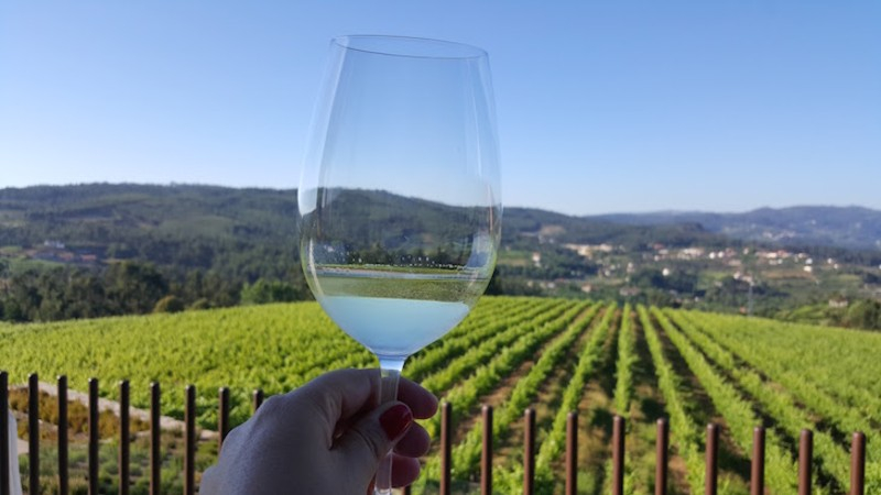 Região do Vinho Verde: tour com grupo pequeno e almoço desde o Porto