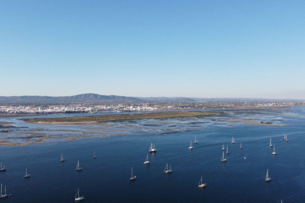 Ria Formosa Island: 4-Hr Boat Tour from Olhão Tickets