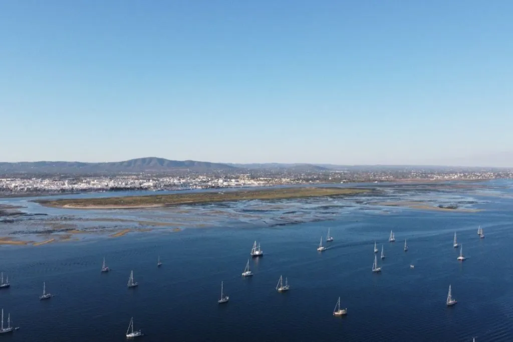Ria Formosa Island: 4-Hr Boat Tour from Olhão Tickets