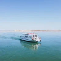 Ria Formosa Island: 4-Hr Boat Tour from Olhão Tickets