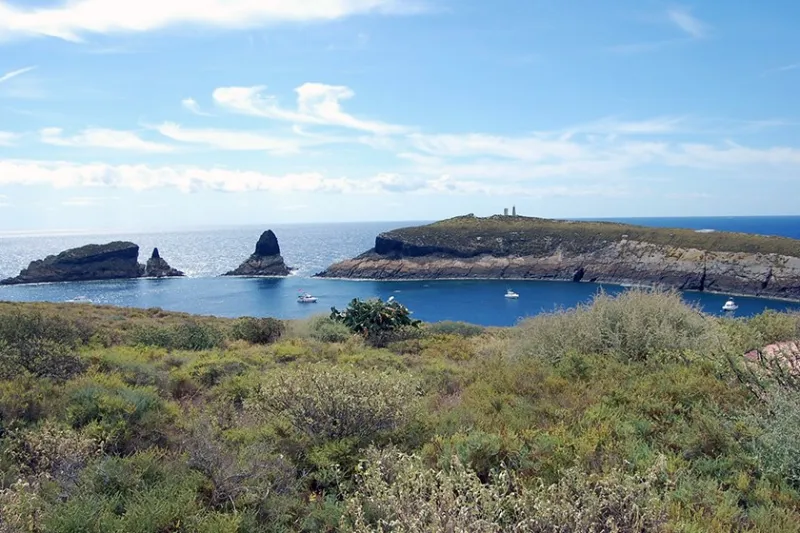 Excursión a Las Columbretes desde Alcossebre