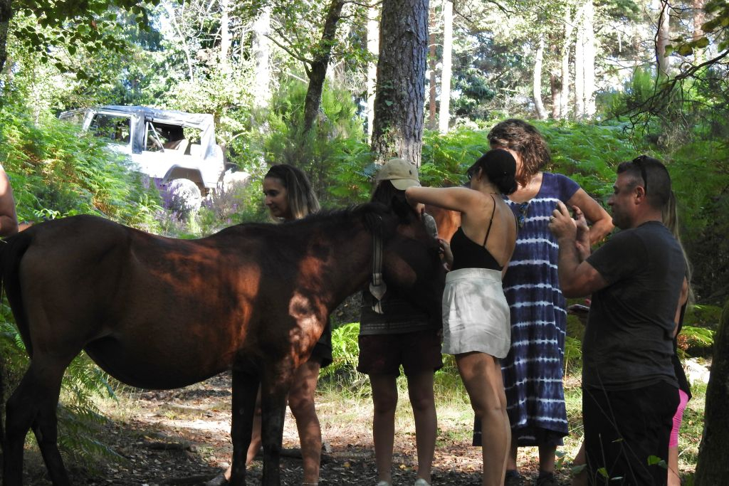 Parque Nacional Peneda Geres: Passeio de um dia pelas cachoeiras